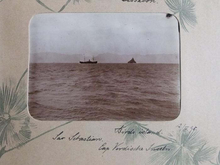 DrRPfeiffer-1899 028